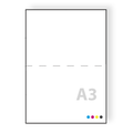 a3 posters drukken op 250grs dik papier, mat of glossy